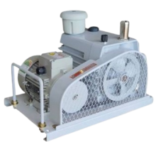 Water ring vacuum pump